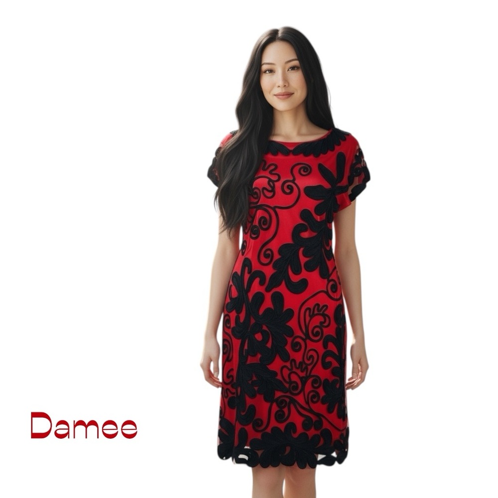 Damee Sheer Red Black Embroidered Dress NWOT Size 12 WhimsiGoth